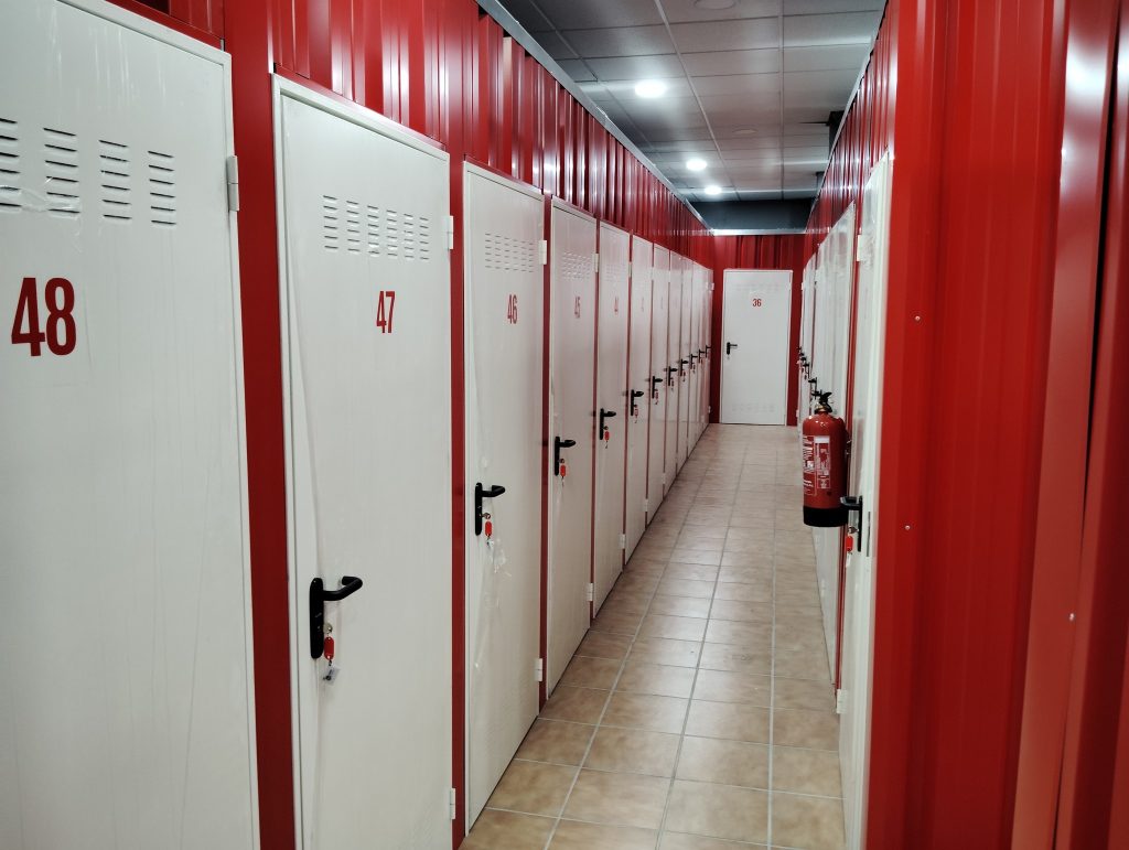 496678791-122097112388873744-2225355031612508748-n